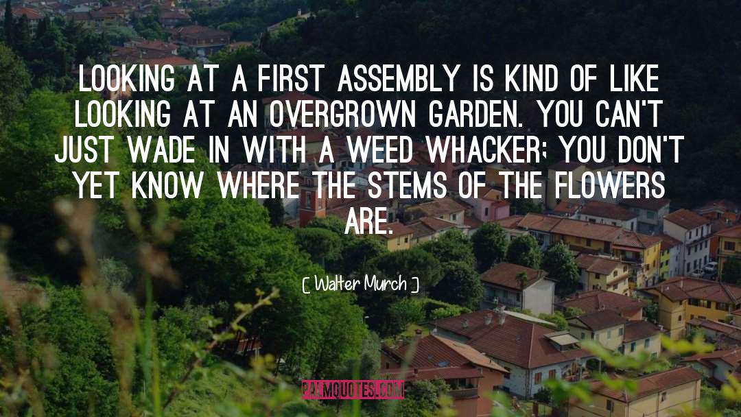 Weed quotes by Walter Murch