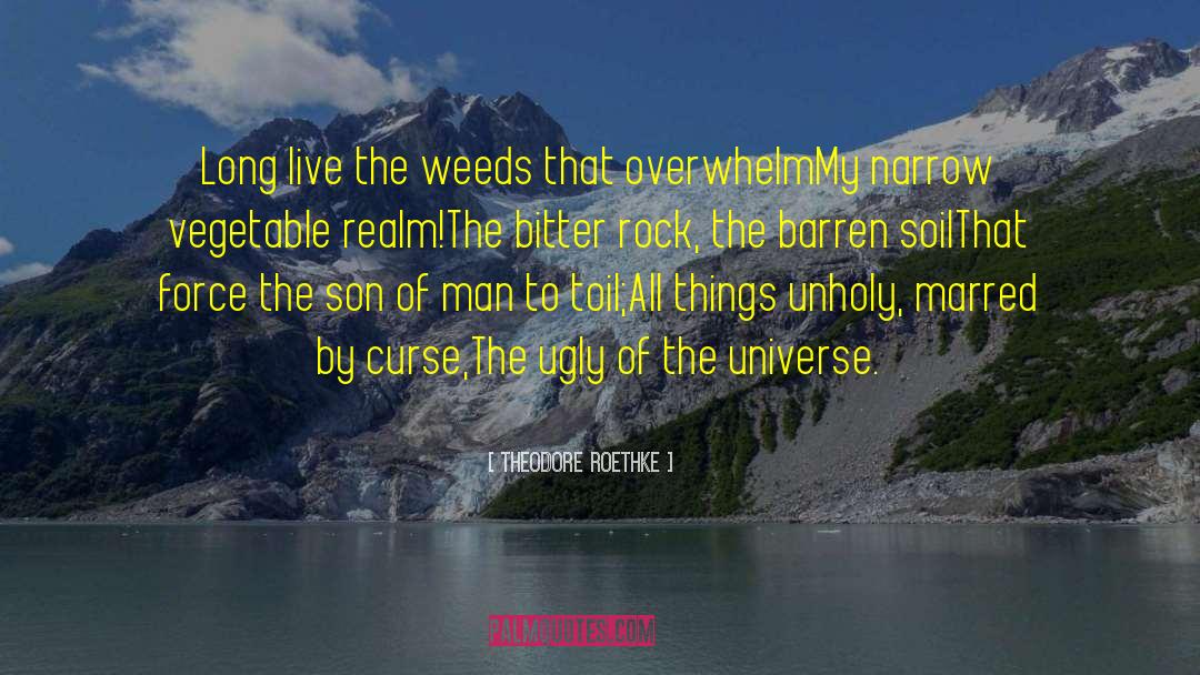 Weeds quotes by Theodore Roethke