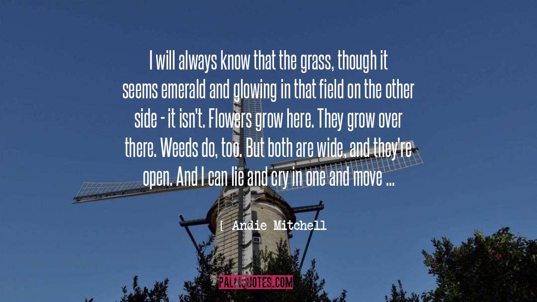 Weeds quotes by Andie Mitchell