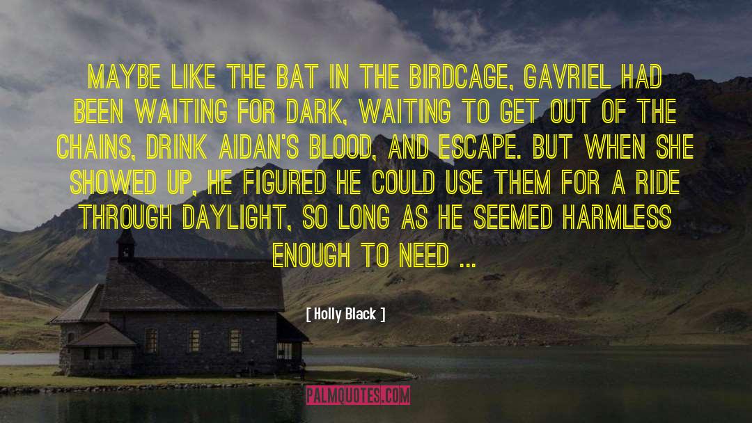 Weetzie Bat quotes by Holly Black
