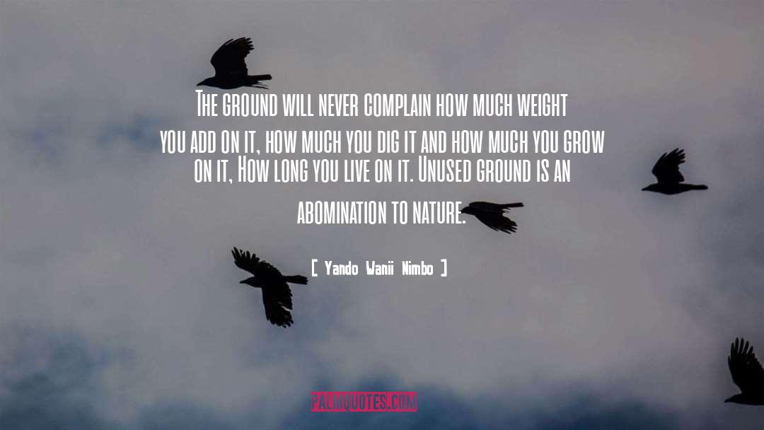 Weight Lifting quotes by Yando Wanii Nimbo