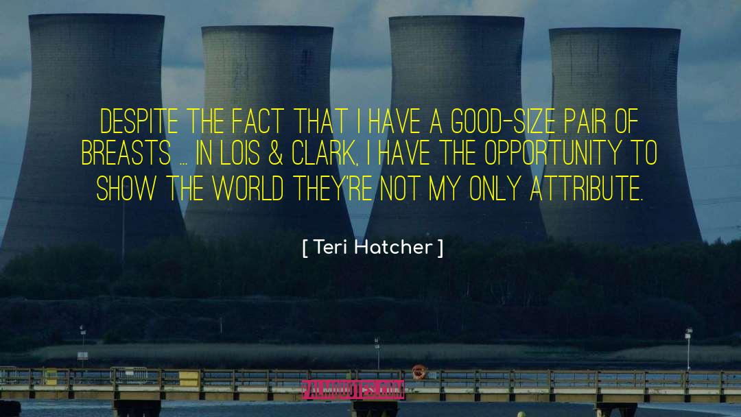 Weight Of The World quotes by Teri Hatcher