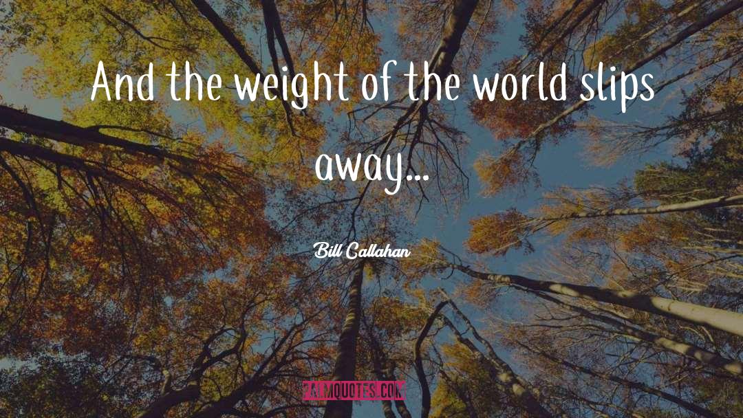 Weight Of The World quotes by Bill Callahan