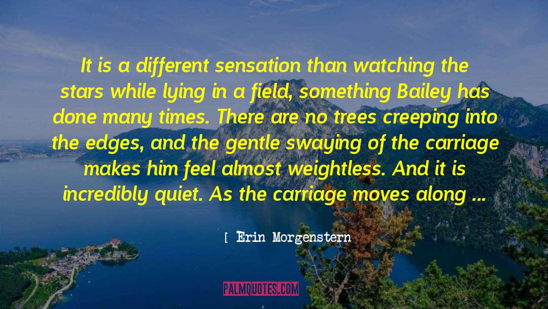 Weightless quotes by Erin Morgenstern