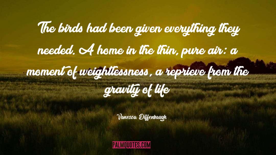 Weightlessness quotes by Vanessa Diffenbaugh