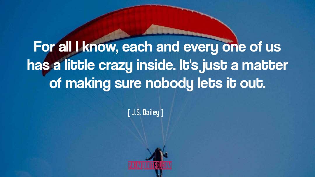 Weird And Crazy quotes by J.S. Bailey