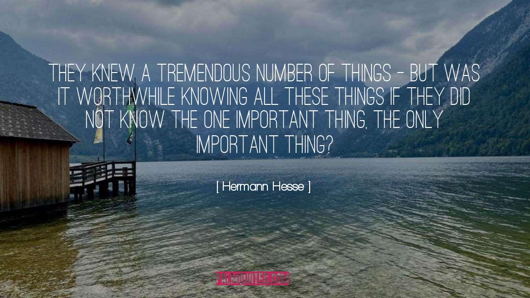 Weissenberg Number quotes by Hermann Hesse
