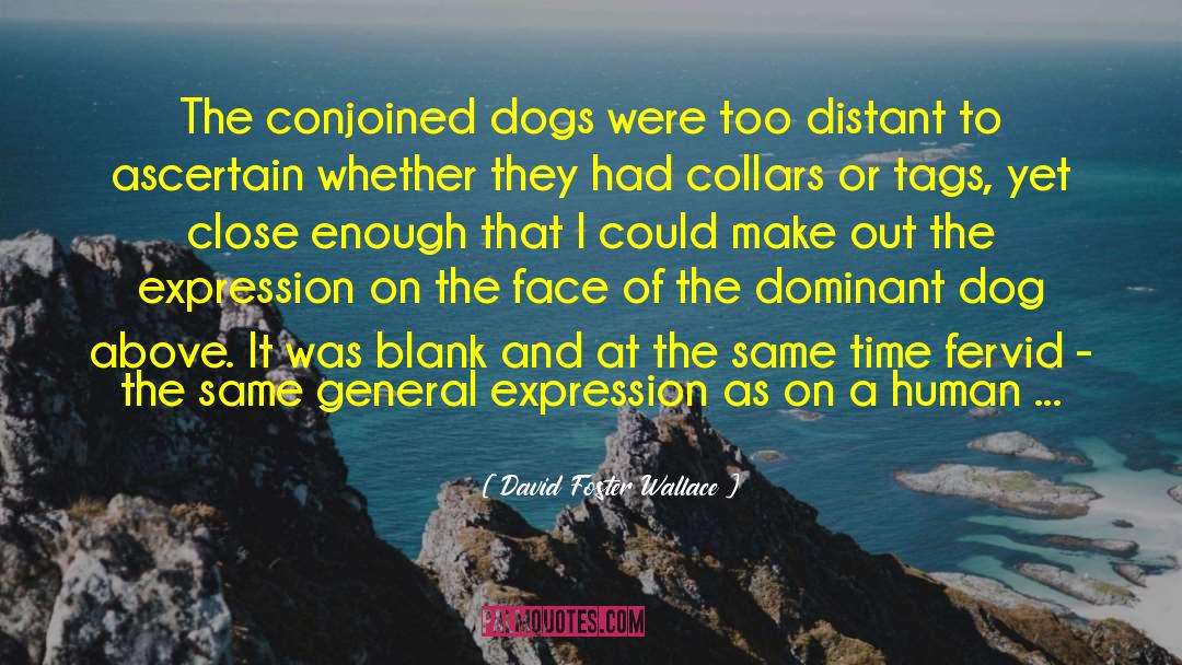Weitlaner Dogs quotes by David Foster Wallace