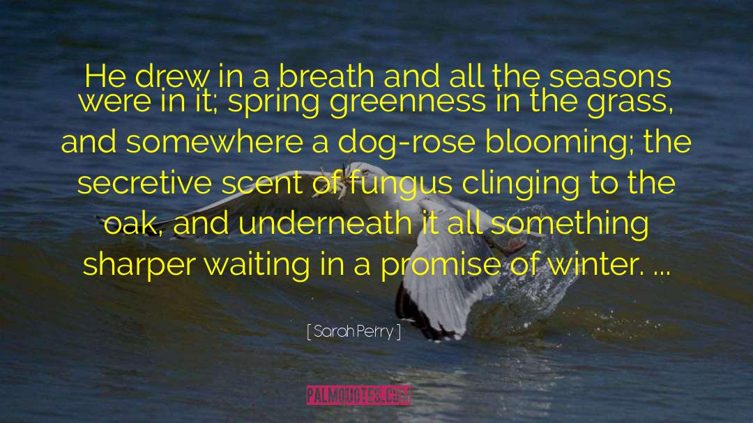 Welcome Spring quotes by Sarah Perry