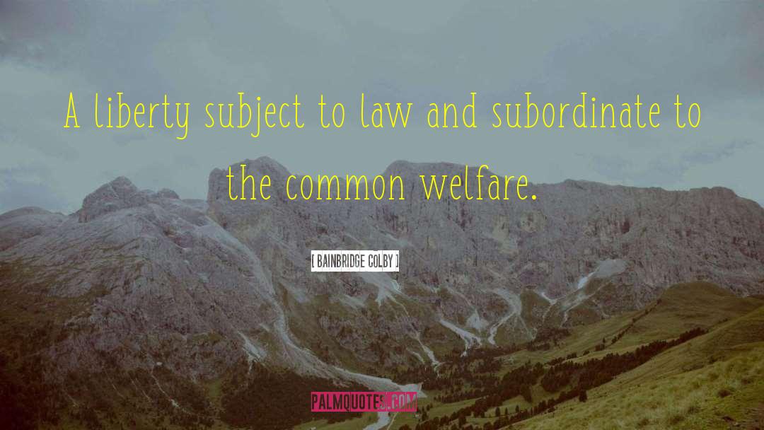 Welfare Mentality quotes by Bainbridge Colby