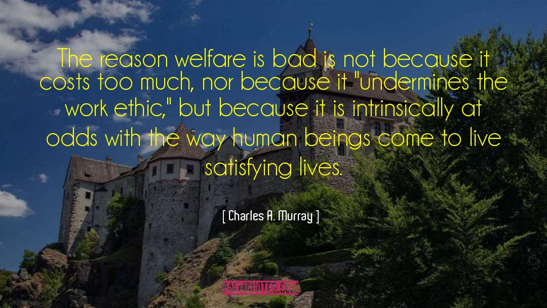 Welfare Mentality quotes by Charles A. Murray