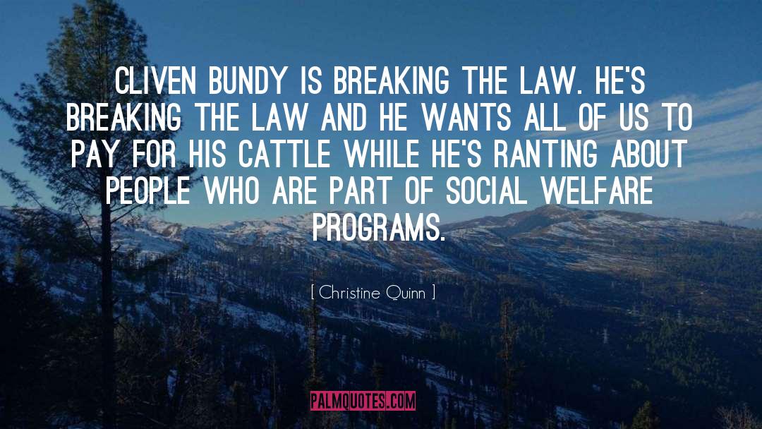 Welfare Programs quotes by Christine Quinn