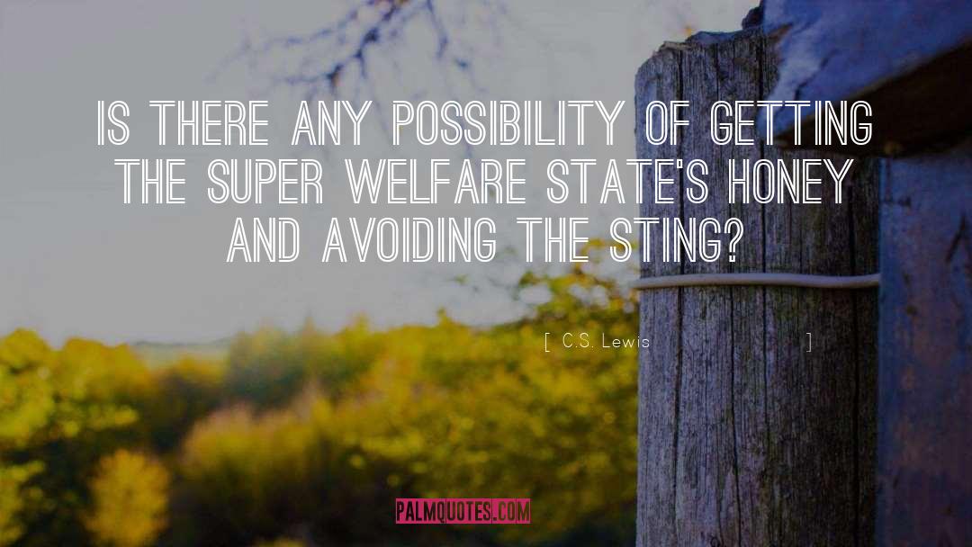 Welfare States quotes by C.S. Lewis