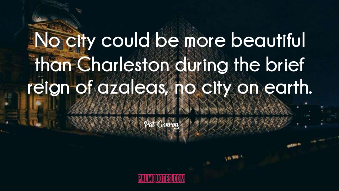 Wellingtons Charleston quotes by Pat Conroy