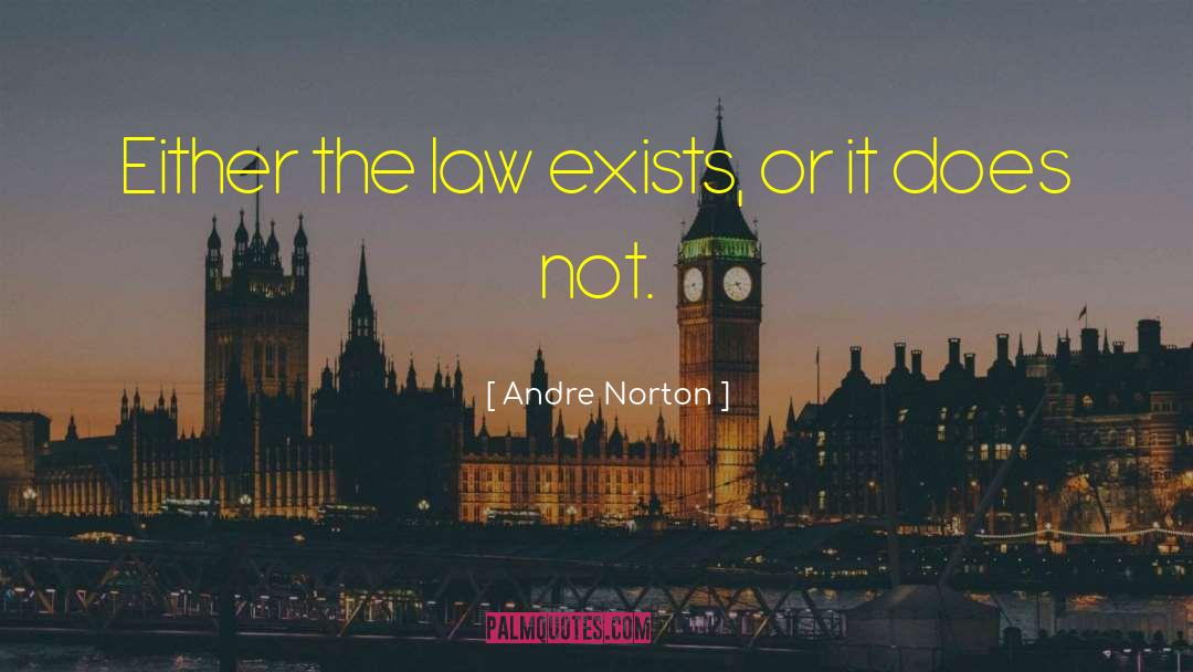 Wellner Law quotes by Andre Norton