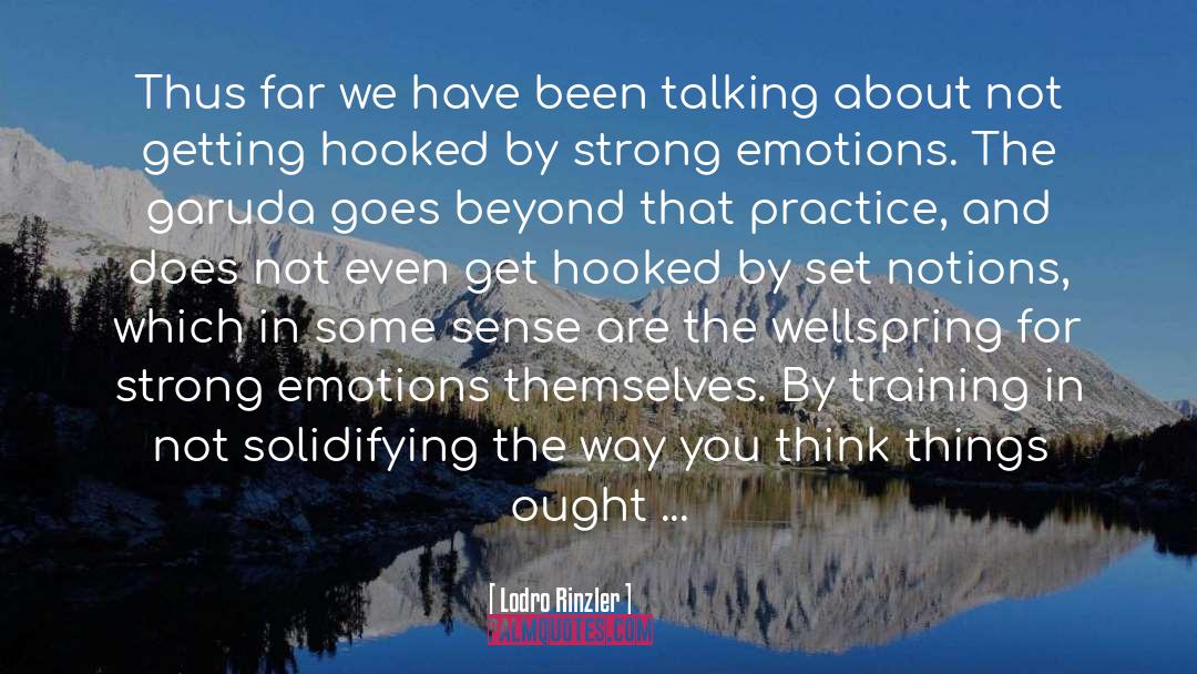 Wellspring quotes by Lodro Rinzler