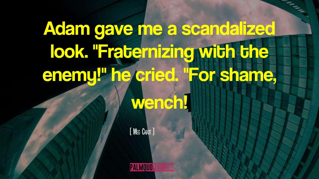 Wench quotes by Meg Cabot