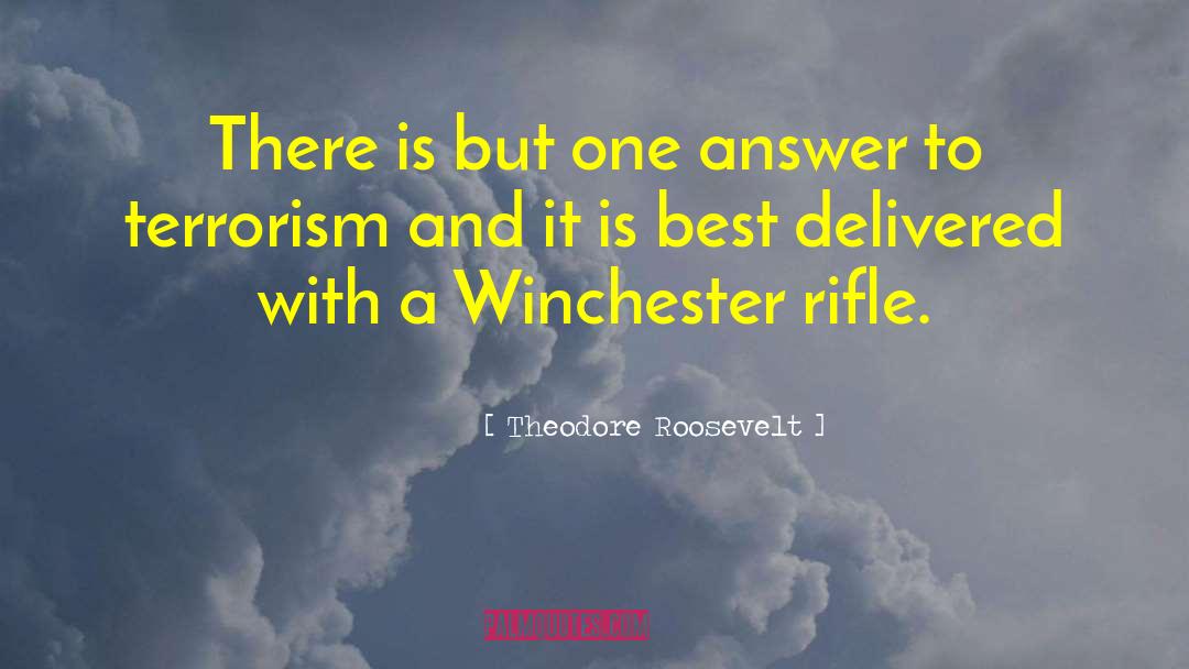 Werder Rifle quotes by Theodore Roosevelt