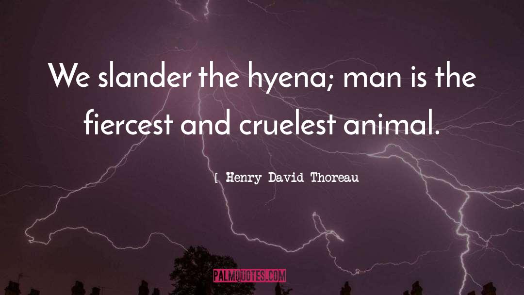 Were Hyena quotes by Henry David Thoreau