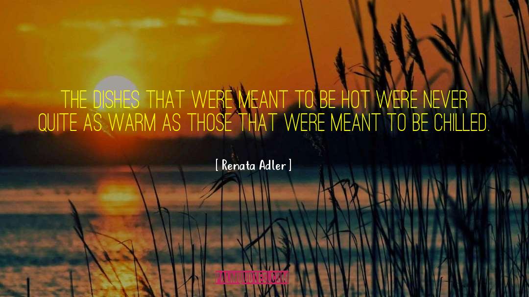 Were Meant To Be Together quotes by Renata Adler