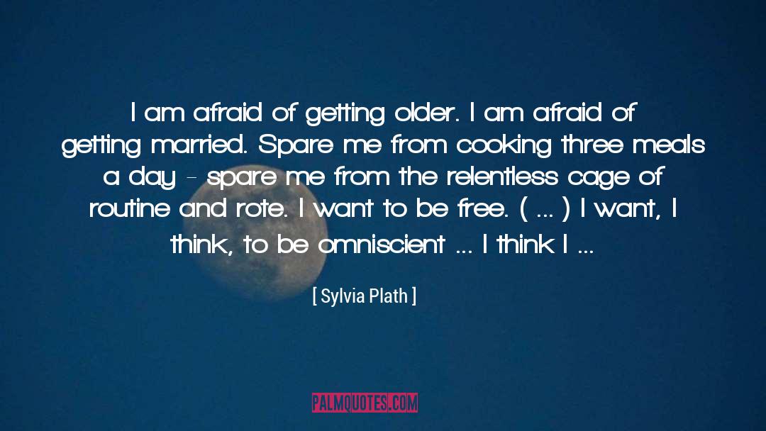 Were Not Getting Older Birthday quotes by Sylvia Plath