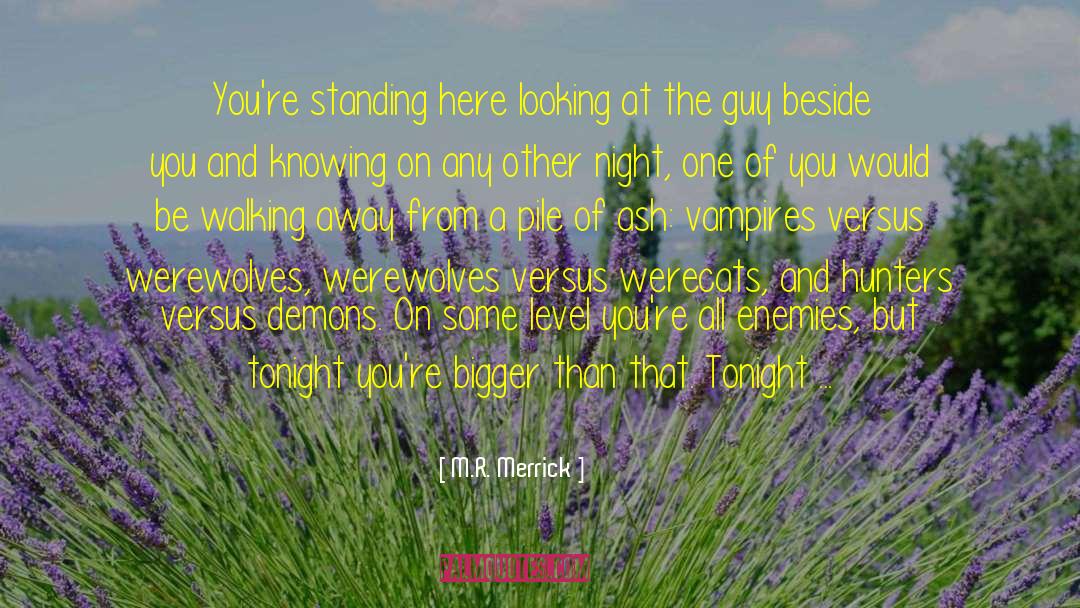 Werewolves Fey quotes by M.R. Merrick