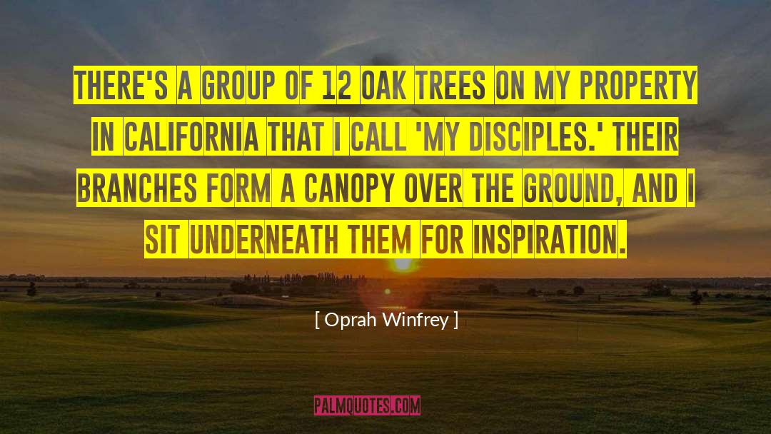 Werleys Tree quotes by Oprah Winfrey