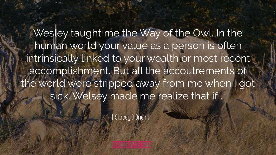 Wesley Stace quotes by Stacey O'Brien