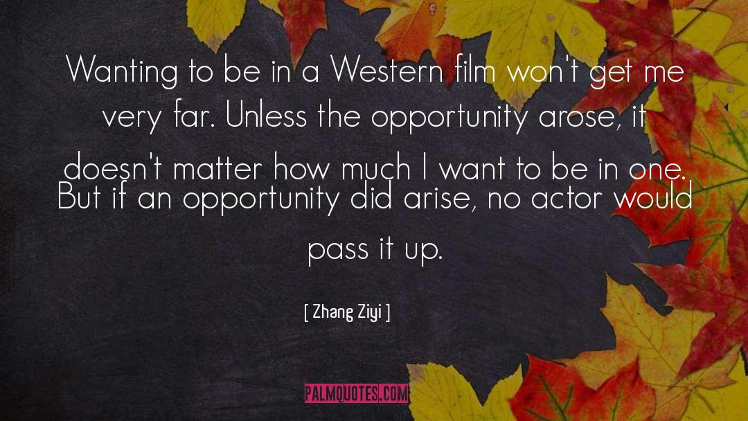 Western Films quotes by Zhang Ziyi