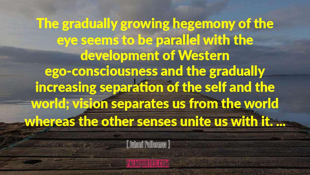 Western Punchy quotes by Juhani Pallasmaa