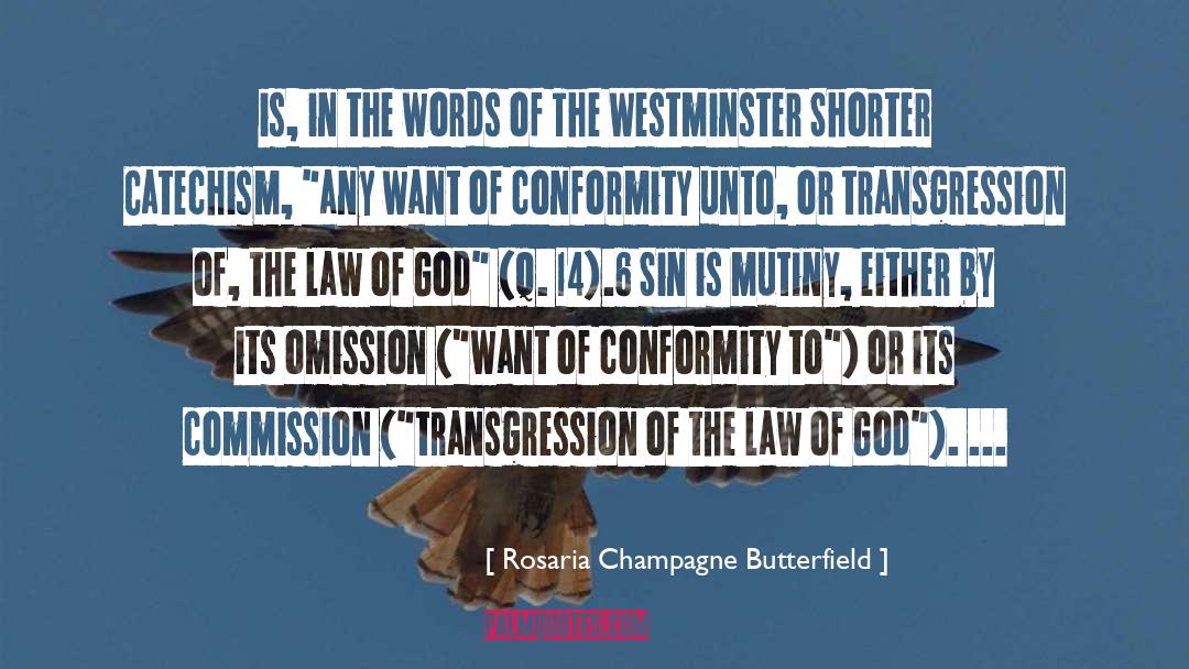 Westminster Shorter Catechism quotes by Rosaria Champagne Butterfield