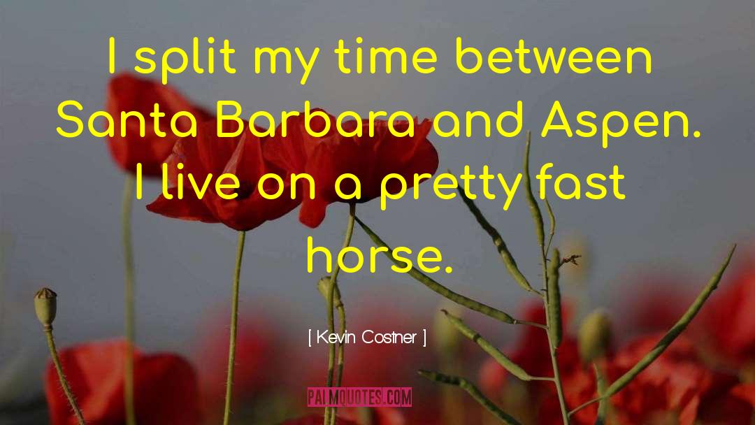 Westphalian Horse quotes by Kevin Costner