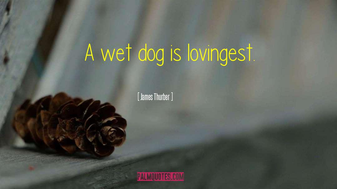 Wet Dogs quotes by James Thurber