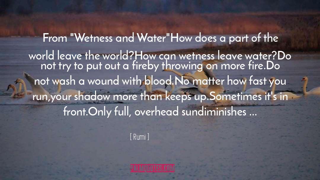 Wetness quotes by Rumi