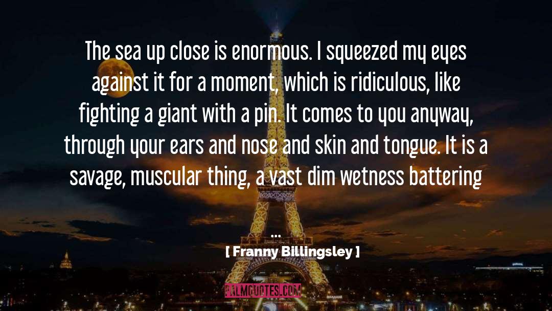 Wetness quotes by Franny Billingsley