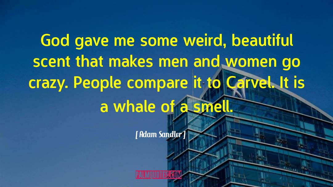 Whale Farts quotes by Adam Sandler