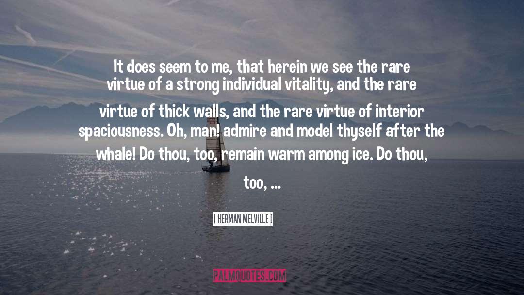 Whale quotes by Herman Melville