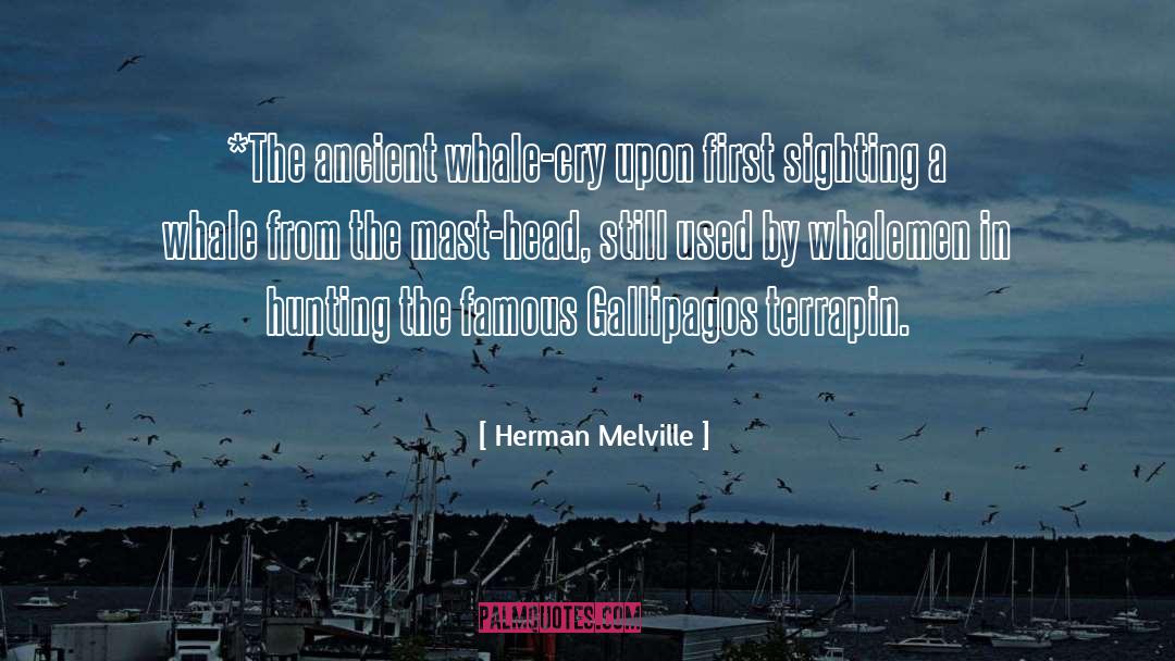 Whale quotes by Herman Melville