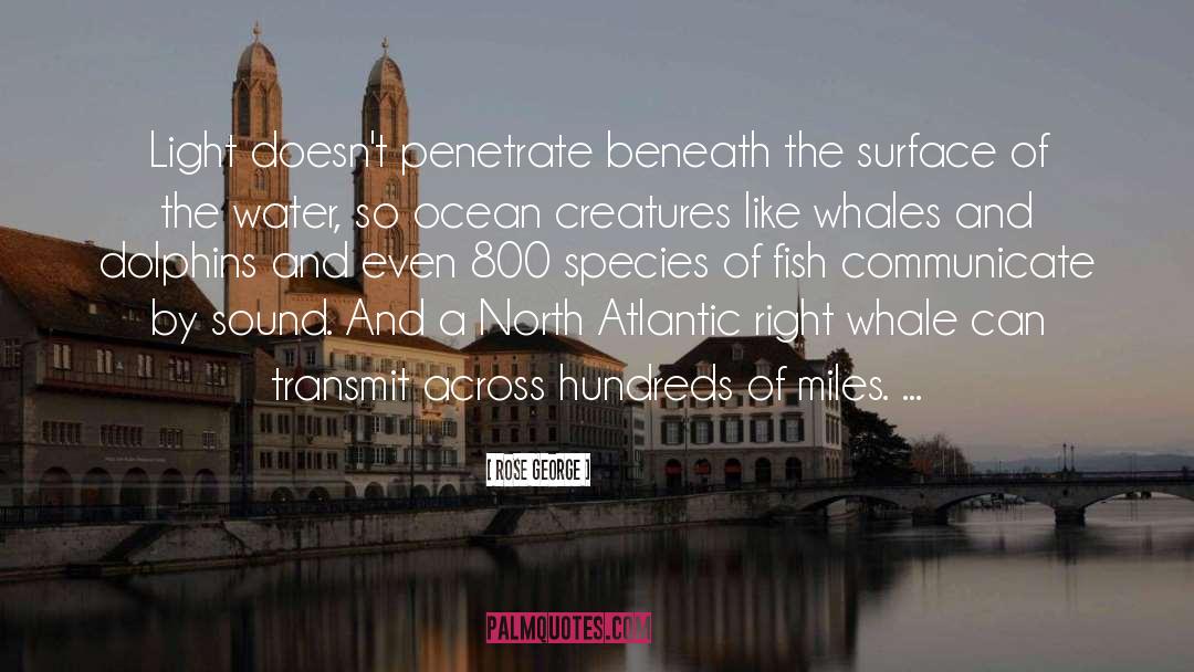 Whales Mating quotes by Rose George
