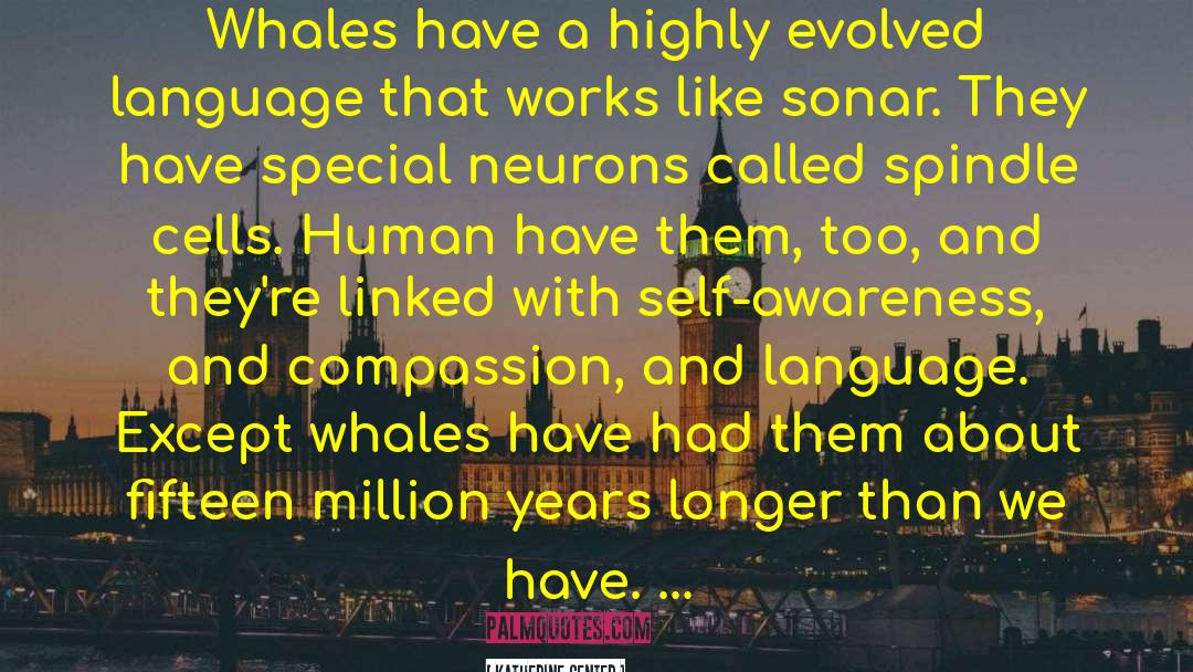 Whales quotes by Katherine Center