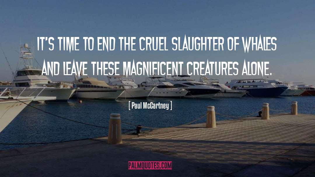 Whales quotes by Paul McCartney