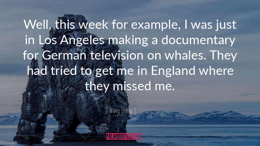 Whales quotes by Wavy Gravy