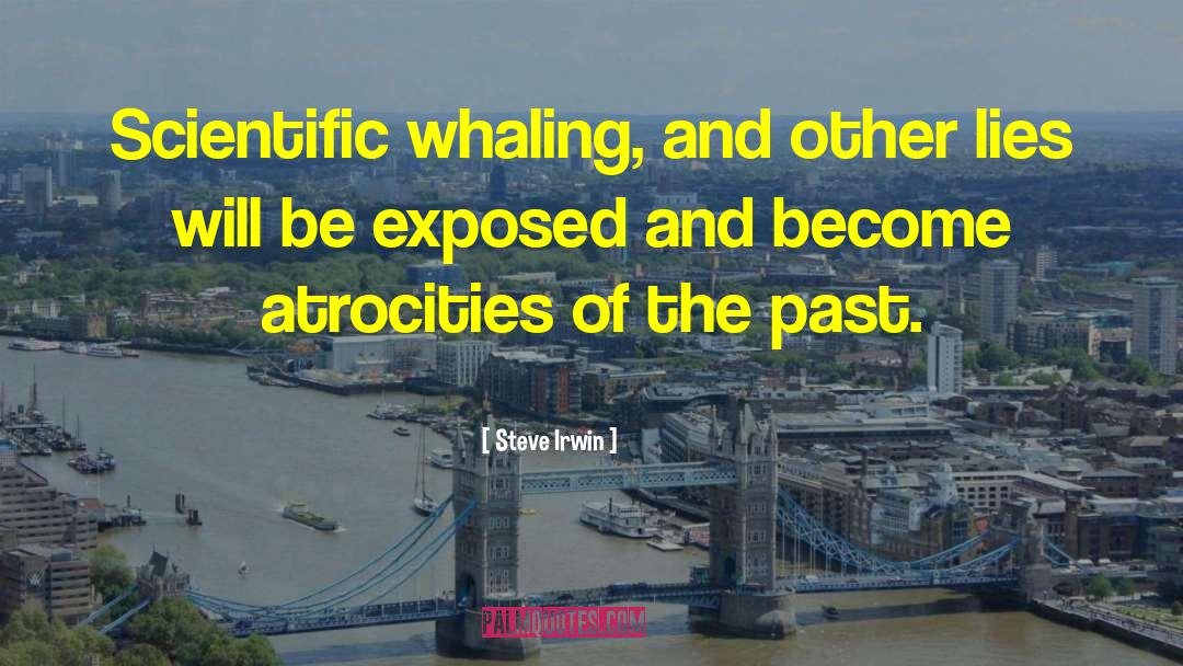 Whaling quotes by Steve Irwin