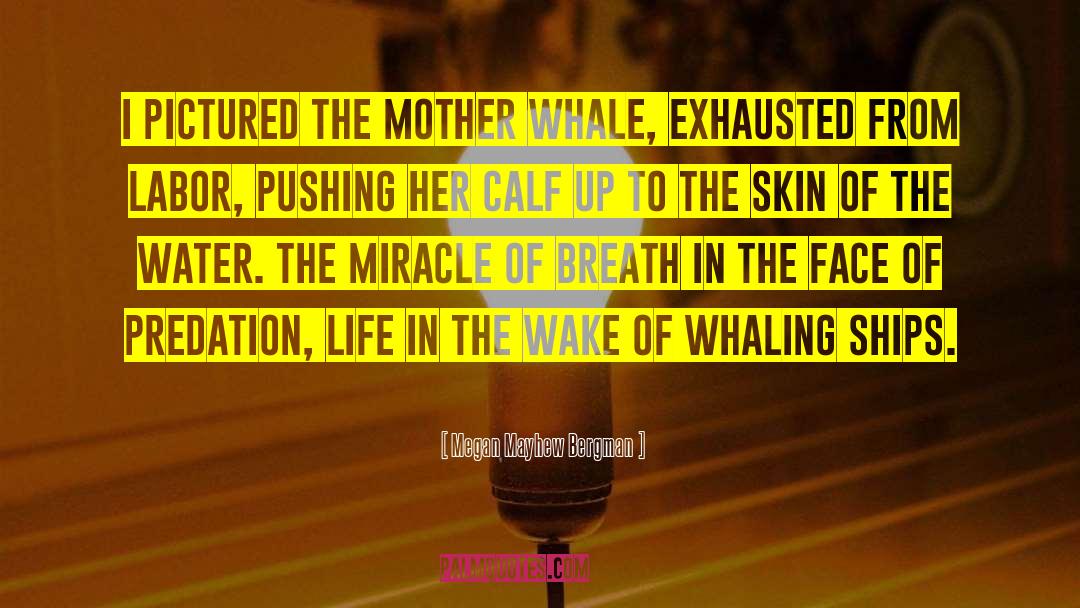 Whaling quotes by Megan Mayhew Bergman