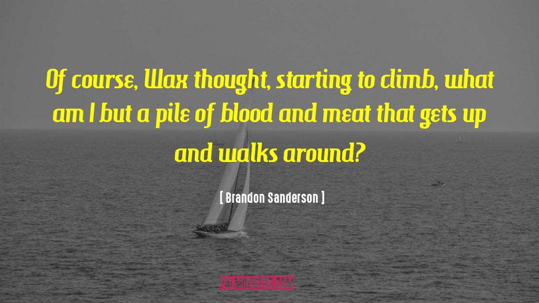 What Am I quotes by Brandon Sanderson