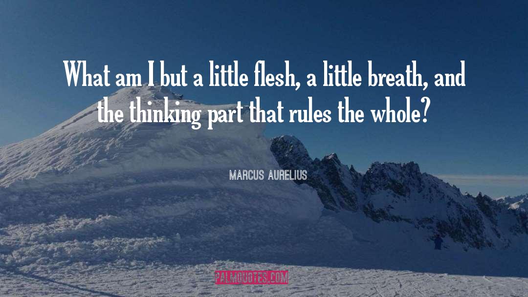 What Am I quotes by Marcus Aurelius