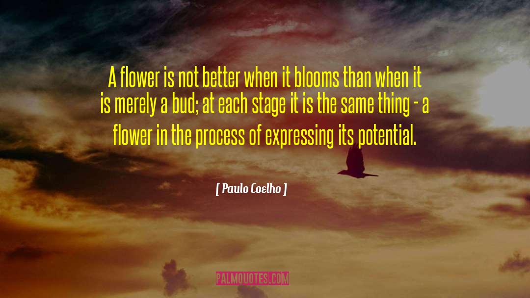 What Blooms quotes by Paulo Coelho