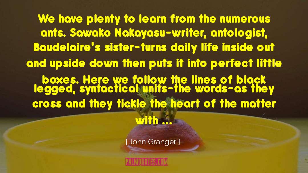 What Does Granger Mean By His Quote quotes by John Granger