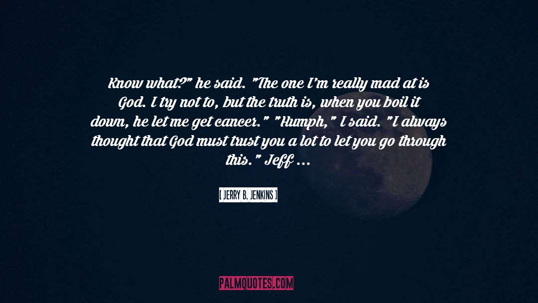 What God Is Really Like quotes by Jerry B. Jenkins