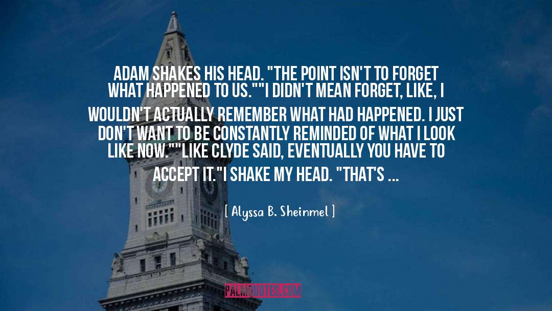 What Had Happened quotes by Alyssa B. Sheinmel